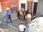Fira Santorini (Thira) - Foto 69