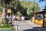 Kamari Santorini | Cycladen Griekenland | De Griekse Gids foto 18