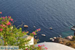 Oia Santorini | Cycladen Griekenland | De Griekse Gids foto 8